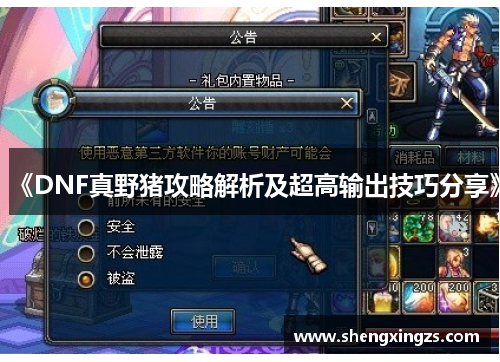 《DNF真野猪攻略解析及超高输出技巧分享》