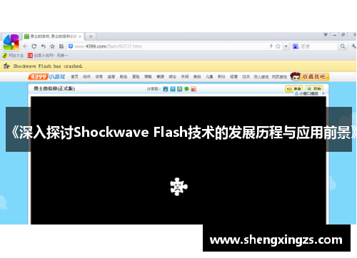 《深入探讨Shockwave Flash技术的发展历程与应用前景》 《深入探讨Shockwave Flash技术的发展历程与应用前景》