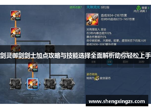 剑灵御剑剑士加点攻略与技能选择全面解析助你轻松上手